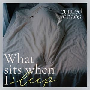 What Sits When I Sleep